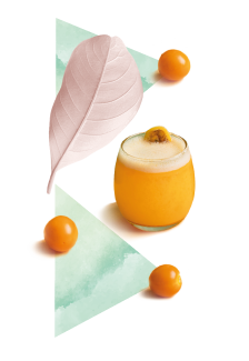 tacama wine brand social media content