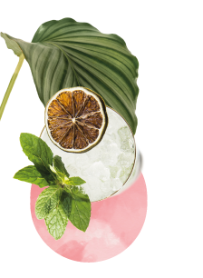 tacama wine brand social media content