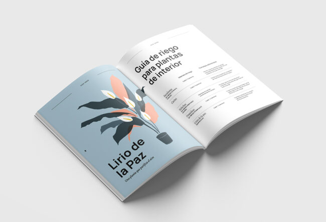 editorial design plant guide